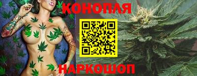 наркотики Сланцы